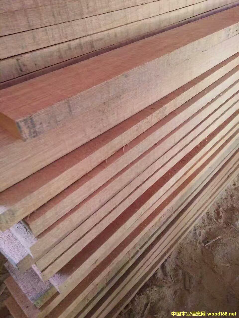 �D��ӡ��t���� �c���ɷŴ�