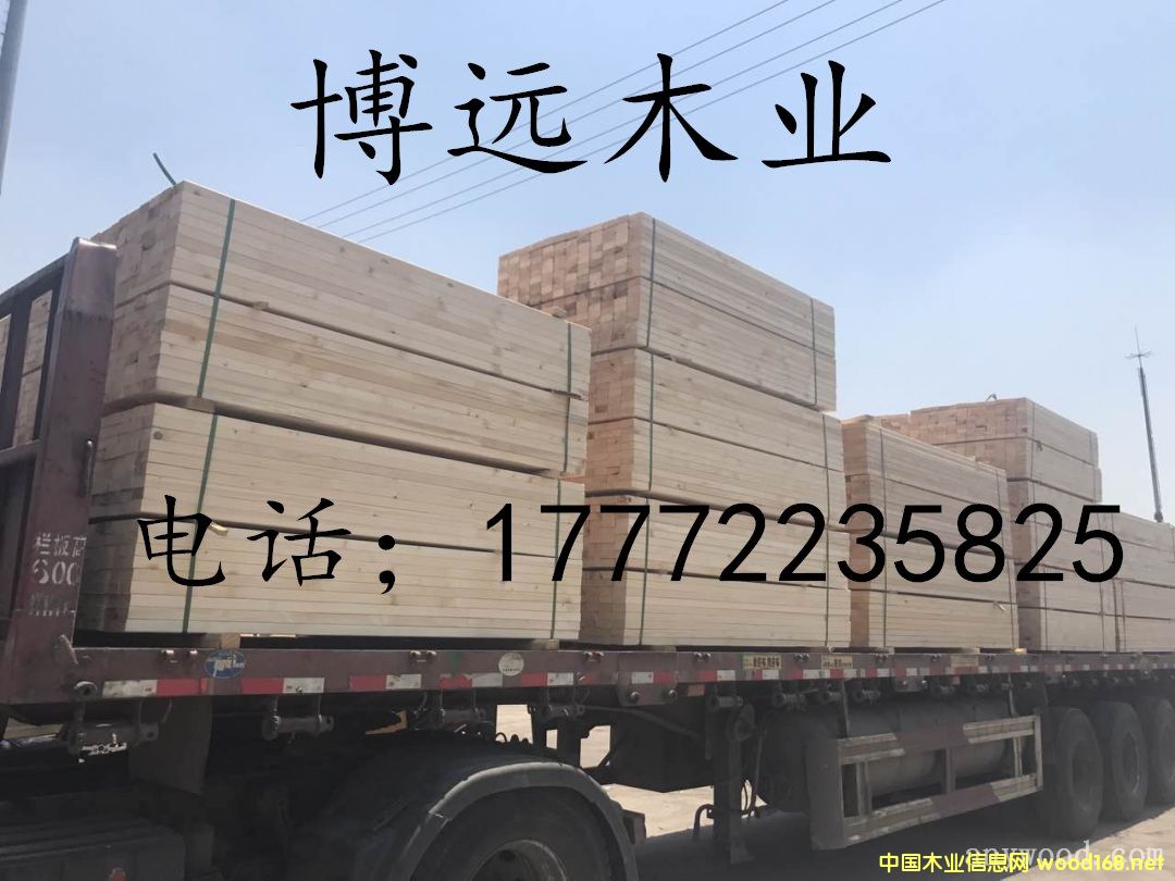 �D��5566 �c���ɷŴ�