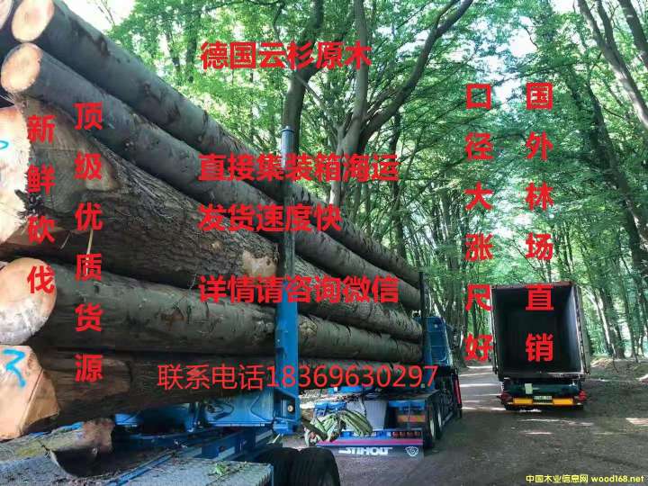 �D���V������ �c(di��n)���ɷŴ�