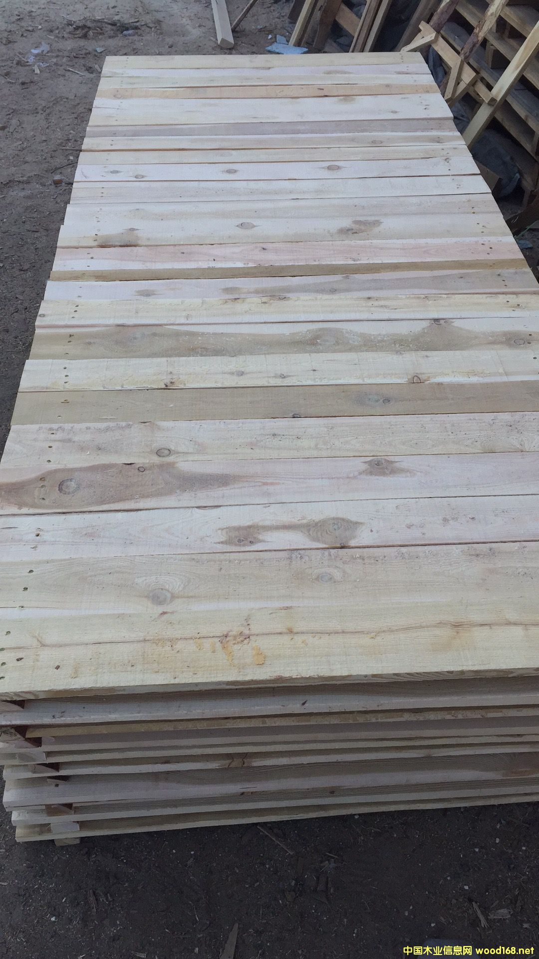 �D������ �c���ɷŴ�