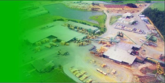 �D���������S�BD �c(di��n)���ɷŴ�