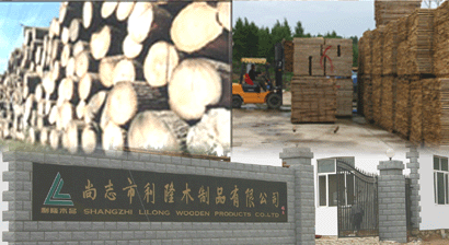 �D���Sò �c(di��n)���ɷŴ�