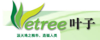 �D��logo �c���ɷŴ�