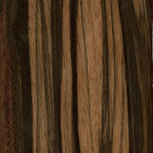 �D����̴ �c(di��n)���ɷŴ�