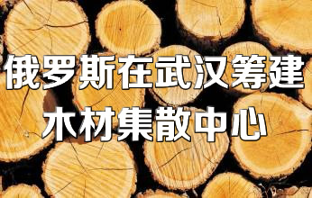 ���_˹����h�I��ľ�ļ�ɢ�֓�����