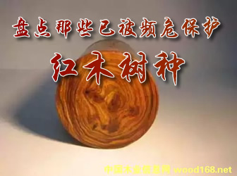 �P�c��Щ�ѱ��lΣ���o(h��)�tľ��N