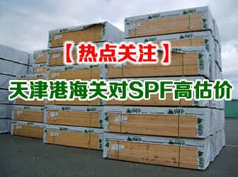 ���ۺ��P(gu��n)��SPF�߹��r