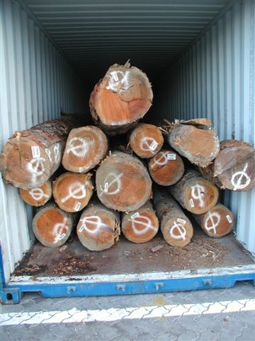 ���ô�����䏲�ԭľ��Ԕ��(x��)��B