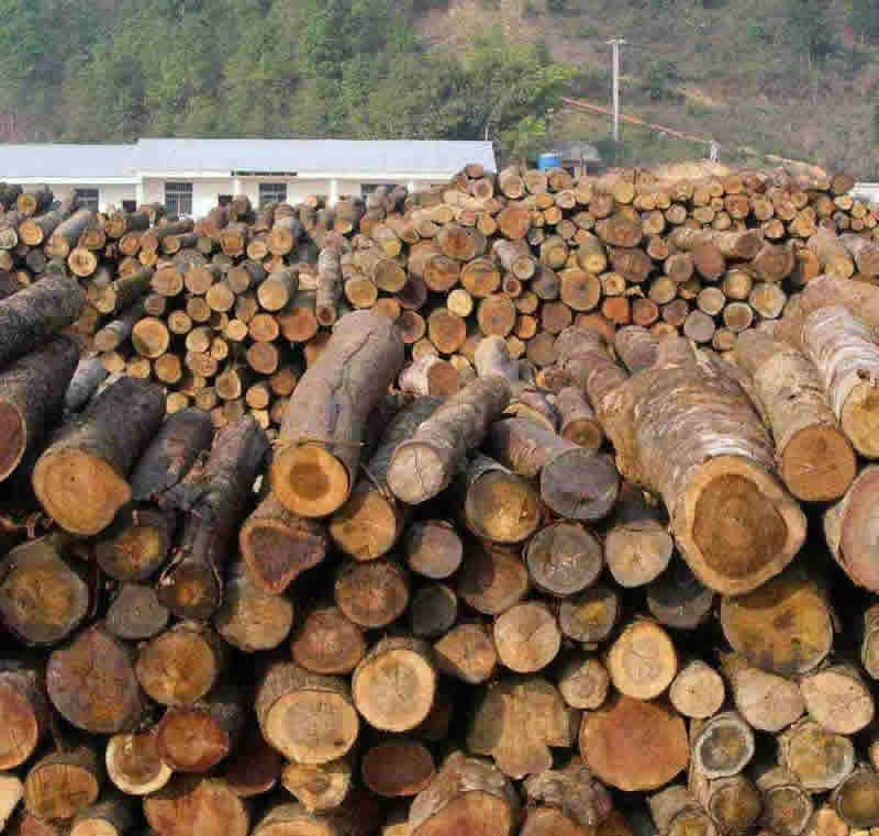 ԭľ��ĵ�Ԕ��(x��)��B