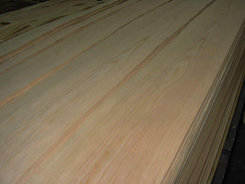 ����ľƤ--�t���ҵ�Ԕ����B