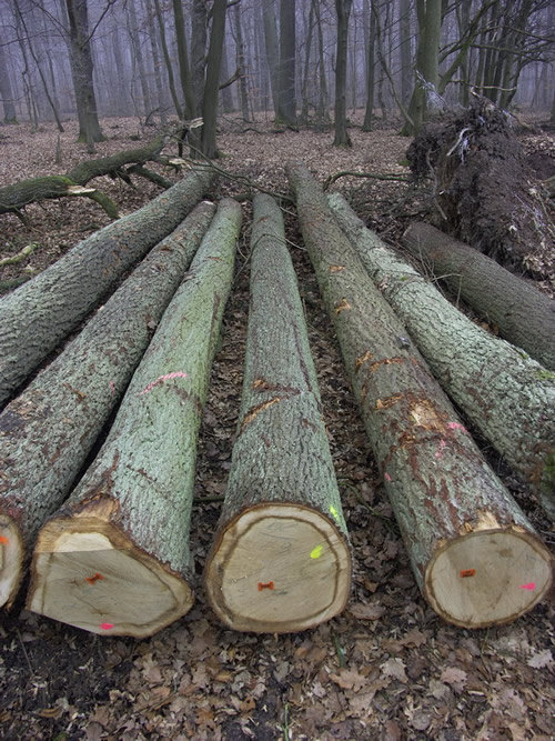 �W�ް����Ԕ��(x��)��B