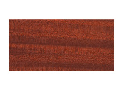 ɳ�������ӌ�(sh��)ľ�ذ��Ԕ��(x��)��B