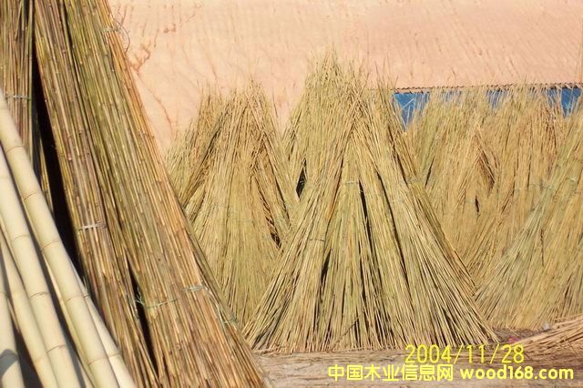 ��֦��Ԕ��(x��)��B