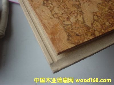 ܛľ�ذ��Ԕ����B