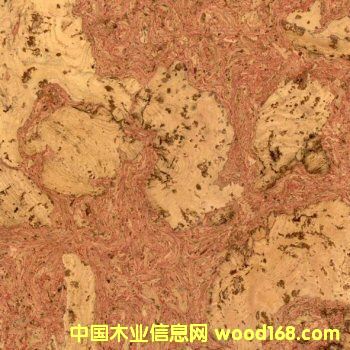 ܛľ�ذ���ӵ�Ԕ����B