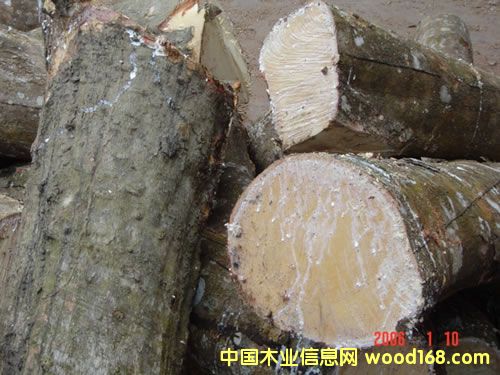 ̩��(gu��)���zľ��Ԕ��(x��)��B