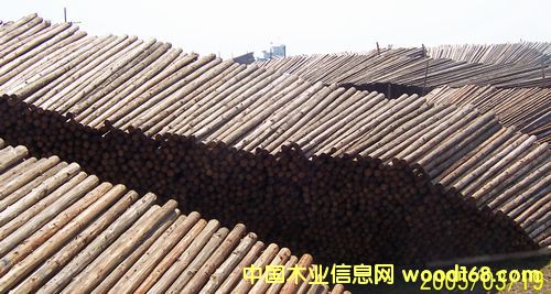 ����ľ�Sľ�ĵ�Ԕ����B