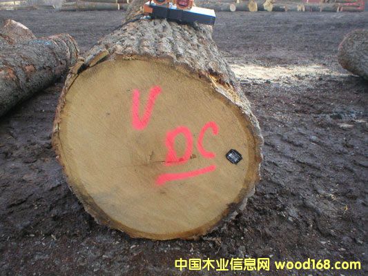 ����ľ�Sľ�ĵ�Ԕ����B