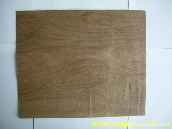 ���Ҙ�Ƥ��Ԕ����B