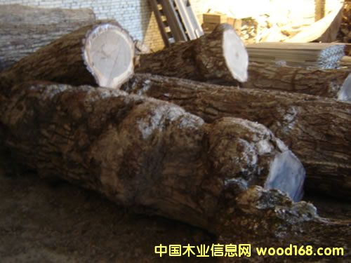 ���Ҙ�(sh��)��