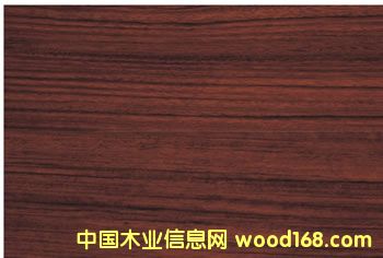 ���Ɛ�������Kľ��Ԕ��(x��)��B