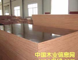 ���z���Ԕ��(x��)��B