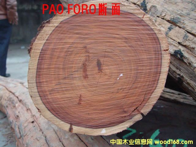 pao rosa       ��t̴��Ԕ��(x��)��B