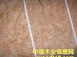 ����(d��ng)�Ș���ľƤ��Ԕ��(x��)��B