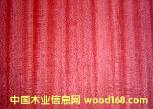 ��Ȼ�b��N����Ԕ��(x��)��B