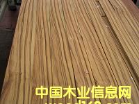 ����Ƥ��