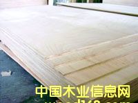 �h(hu��n)���ͼ���ľ�C(j��)�ƃ�(y��u)�����ɰ��Ԕ��(x��)��B