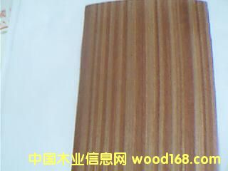 ɳ����ľƤ��Ԕ��(x��)��B