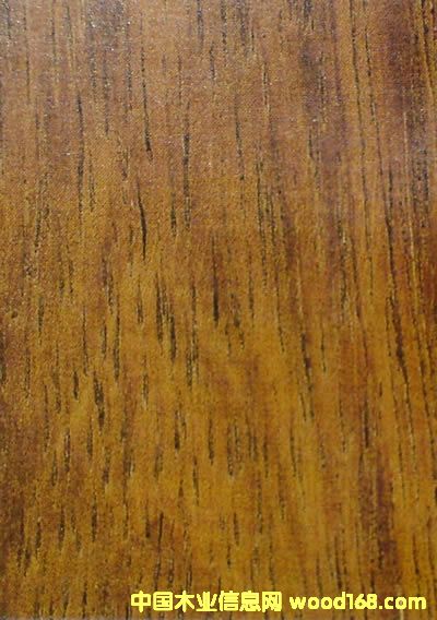 �ں��ҵذ��Ԕ����B