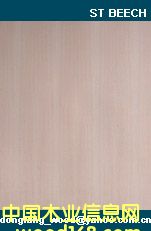 st beech��Ԕ����B