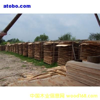 �����m�߼�(j��)�N����Ԕ��(x��)��B