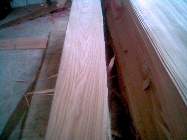 ľƤ��Ԕ����B