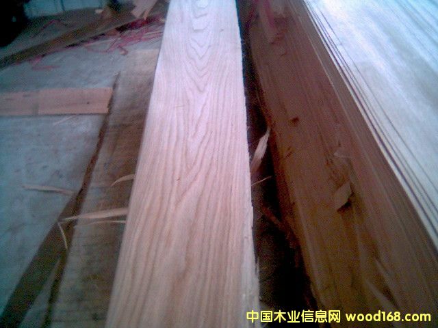 ľƤ��Ԕ����B