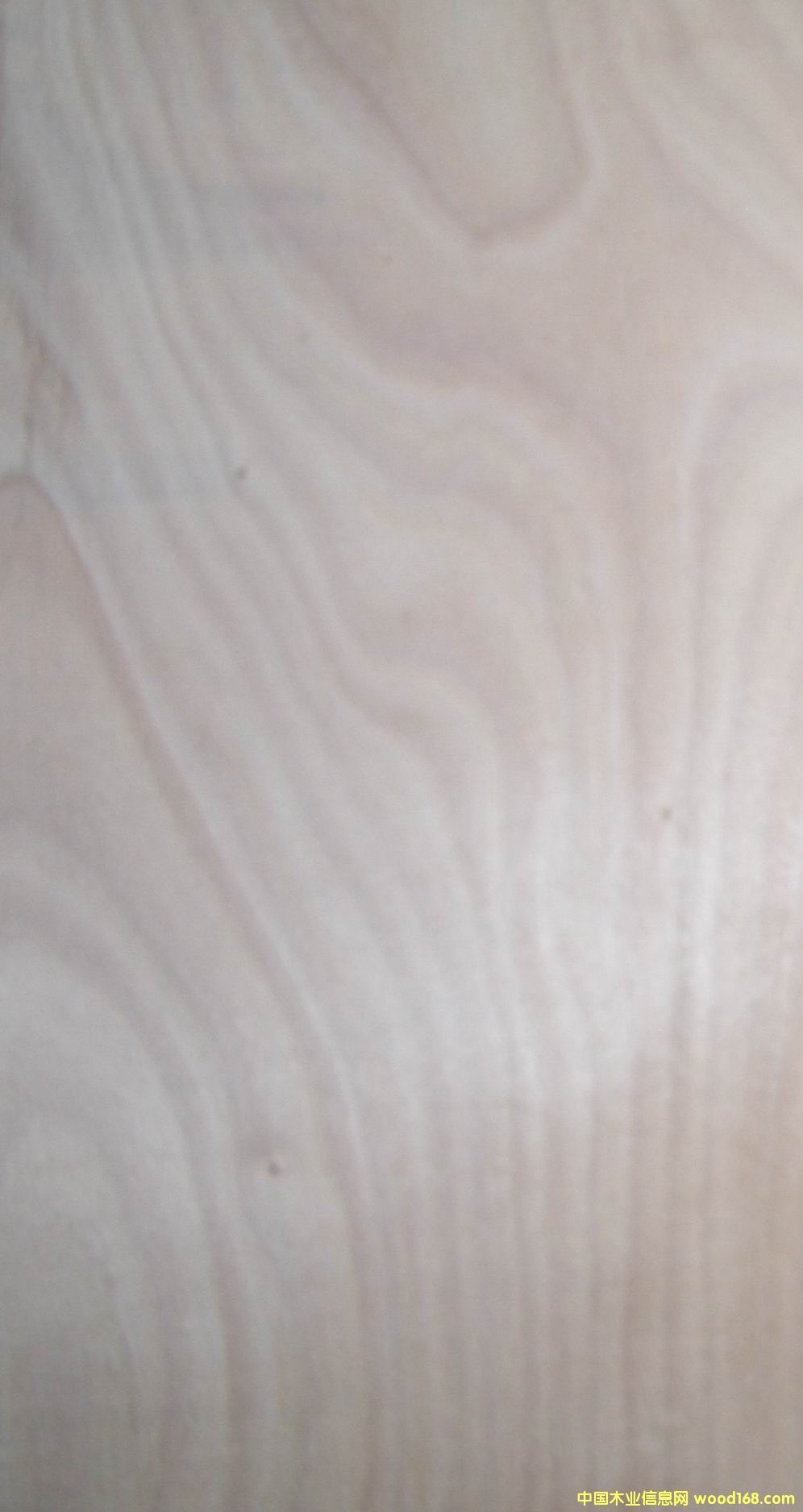 �һ�о3��A��