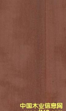 �t��ľ���N��塢��Ƭ���ذ壩