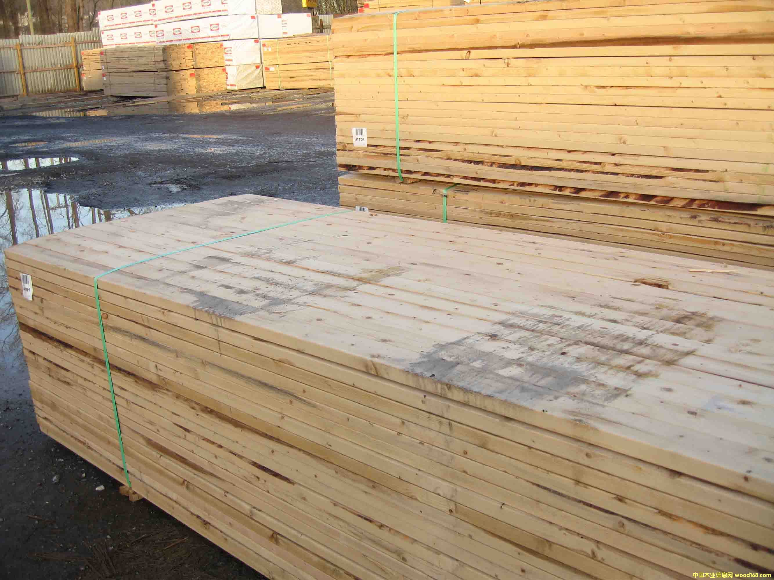 ���ô�ɼľ���