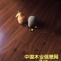 �ں��Ҍ�ľ��(f��)�ϵذ��Ԕ��(x��)��B