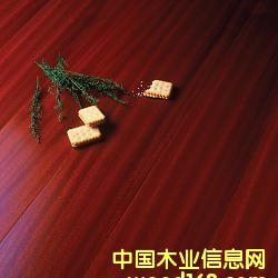 ɯ����ľ�ͺϵذ�