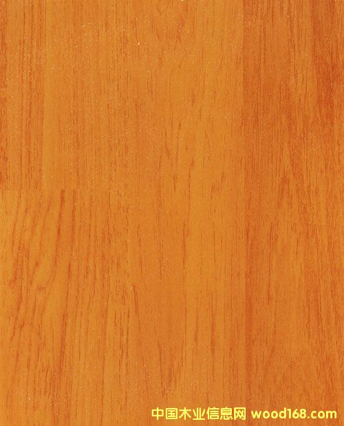 ��Ȼ���L(f��ng)�������ذ��Ԕ����B