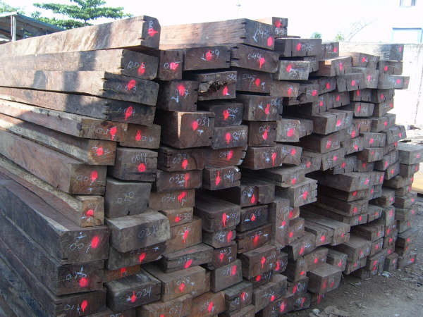 ������(���P̴)��Ԕ��(x��)��B