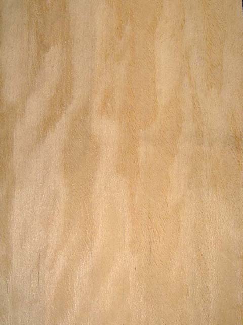 ���� N��Ԕ��(x��)��B