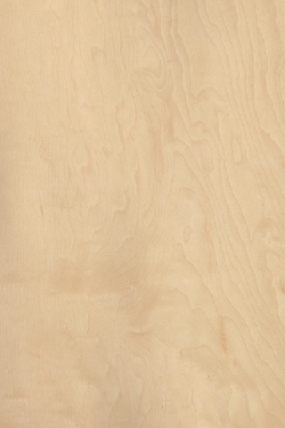 ��Ǘ����Ї�Ӳ����ľƤ(ɽ�y)  china maple��C