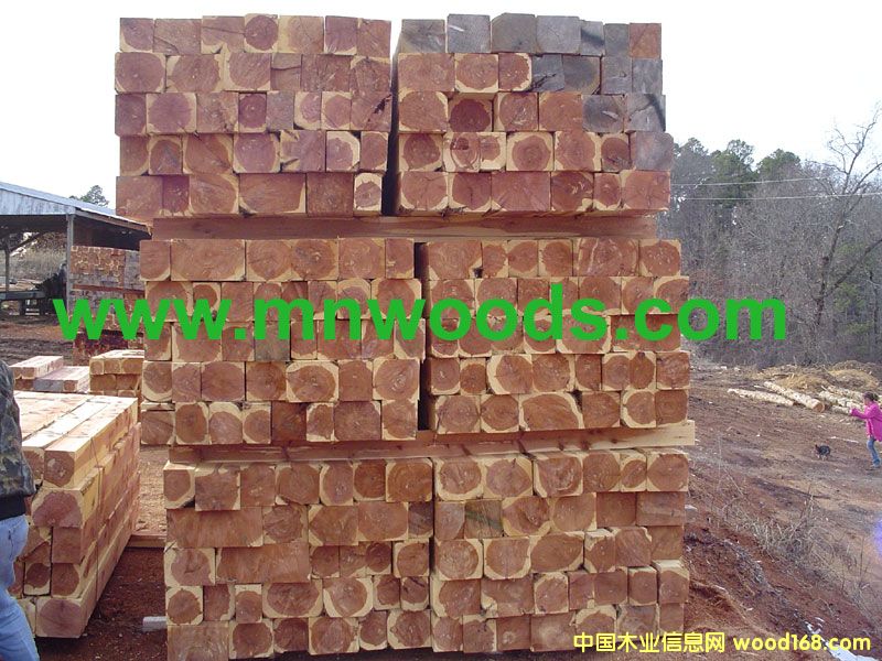 �����������t��ɼ���ĵ�Ԕ��(x��)��B