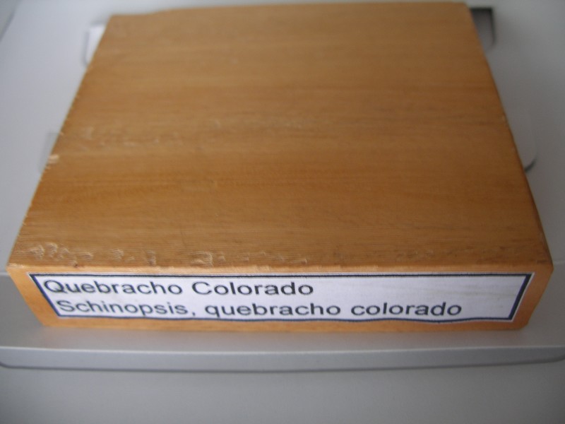 �׶���ľ1��Ԕ����B