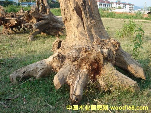 ����ľ���C��Ԕ��(x��)��B