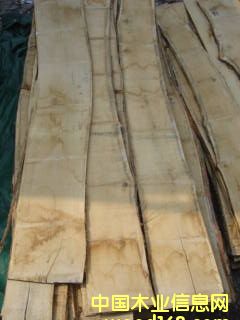 �����ĵ�Ԕ��(x��)��B